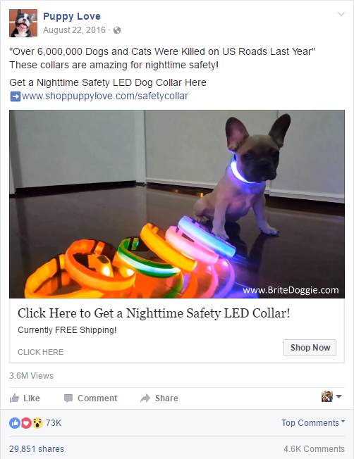 Glowing LED pet collars